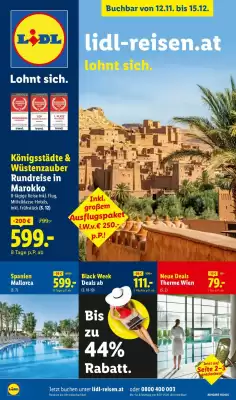 Lidl Flugblatt (gültig bis 15-12)