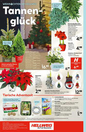 Hellweg Prospekt woche 47 Seite 16