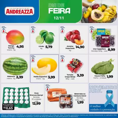 Catálogo Supermercados Andreazza (válido até 12-11)