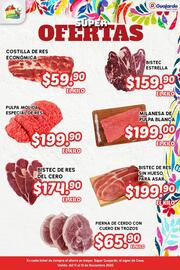 Folleto Guajardo Página 1