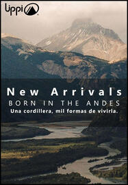 Catálogo Lippi semana 46 Página 1