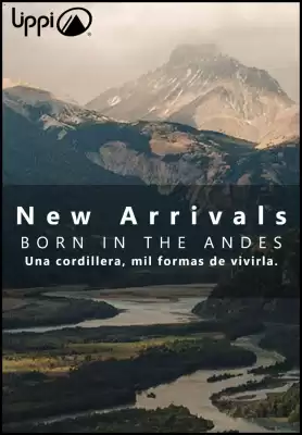 Catálogo Lippi (válido hasta 19-11)