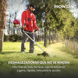 Catálogo Dimarsa Página 4