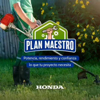 Catálogo Dimarsa (válido hasta 20-11)