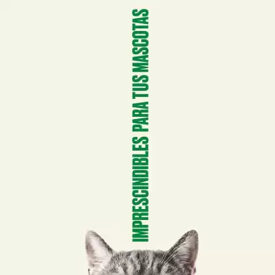 Catálogo Hipercor (válido hasta 30-11)