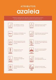 Catálogo Azaleia Página 2