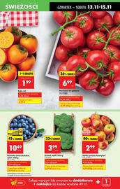 Biedronka gazetka tydzień 46 Strona 19