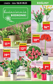 Biedronka gazetka tydzień 46 Strona 83