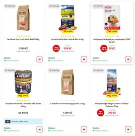 Super Zoo leták Strana 1