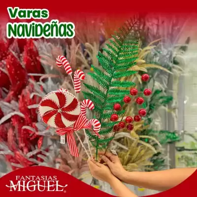 Catálogo Fantasías Miguel (válido hasta 24-12)