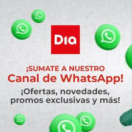 Folleto Supermercados DIA Página 1