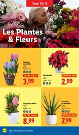 Catalogue Lidl semaine 47 page 36
