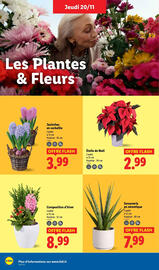 Catalogue Lidl semaine 47 page 36