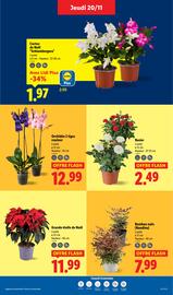 Catalogue Lidl semaine 47 page 37