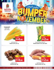 Nesto catalogue Page 15