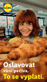 Lidl leták Strana 38