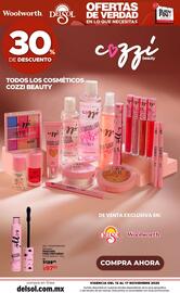 Folleto DelSol Página 39