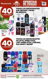 Folleto DelSol Página 41