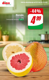 Dino gazetka tydzień 46 Strona 9