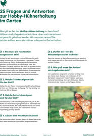 Lagerhaus Flugblatt Seite 2