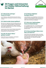 Lagerhaus Flugblatt Seite 3