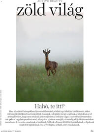 DM akciós újság Oldal 81