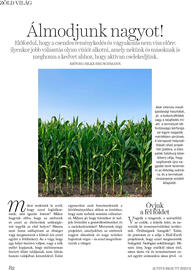 DM akciós újság Oldal 82