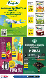 Tesco akciós újság hét 46 Oldal 22