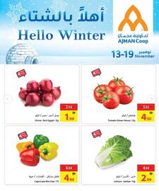 Ajman Market catalogue week 46 Page 3