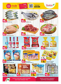 Shaklan leaflet Page 3