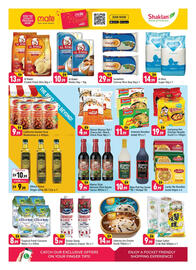 Shaklan leaflet Page 5