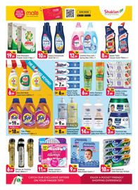 Shaklan leaflet Page 6