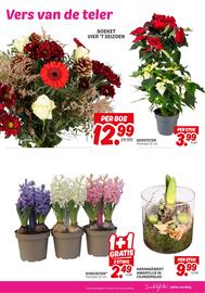 Dekamarkt folder week 47 Pagina 23