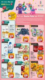 REWE DE tilbudsavis uge 46 Side 13