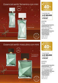 Catálogo Natura Página 12