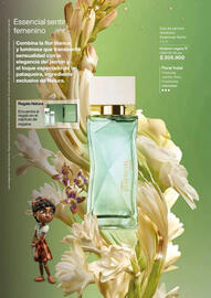 Catálogo Natura Página 65