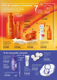 Catálogo Natura Página 123