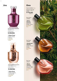 Catálogo Natura Página 53