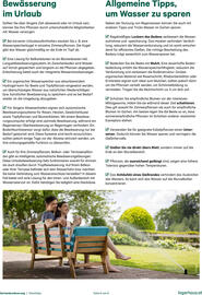 Lagerhaus Flugblatt Seite 6