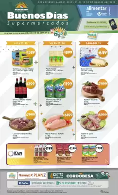 Catálogo Supermercados Buenos Días (válido hasta 19-11)