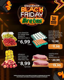 Catálogo Supermercados Bretas Página 9