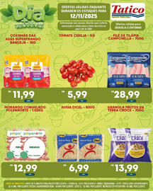 Tabloide Tatico Página 29