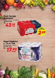 Tabloide Dia Página 2