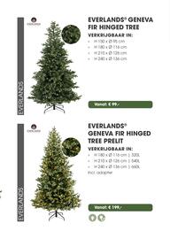 Coppelmans kerstbomencatalogus Pagina 27