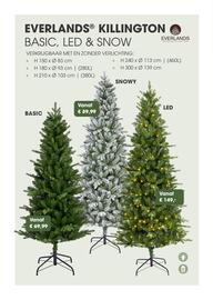 Coppelmans kerstbomencatalogus Pagina 31