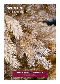 Coppelmans kerstbomencatalogus Pagina 32