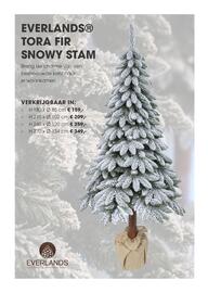 Coppelmans kerstbomencatalogus Pagina 36