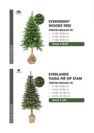 Coppelmans kerstbomencatalogus Pagina 37