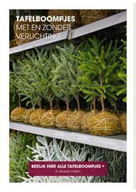 Coppelmans kerstbomencatalogus Pagina 4