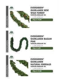Coppelmans kerstbomencatalogus Pagina 43
